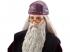 Harry Potter és a Titkok Kamrája: Dumbledore Professzor baba - Mattel