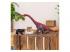 Schleich dinó figura Brachiosaurus 15044