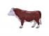 Mojo Farmland Hereford bika - 381073