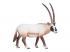 Mojo Wildlife Oryx - 387242