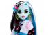 Monster High : Frankie Stein baba kisállattal és kiegészítőkkel - Mattel