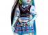 Monster High : Frankie Stein baba kisállattal és kiegészítőkkel - Mattel