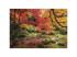 Osszel a parkban 1500 db-os HQC puzzle 84,5x59,5cm - Clementoni