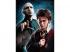 Harry Potter: Voldemort és Harry Potter 500db-os puzzle - Clementoni