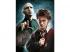 Harry Potter 3x1000db-os puzzle szett - Clementoni