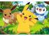 Puzzle 2x24 db - Pokemon