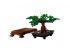 Lego Creator: Bonsai fa (10281)