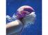 Bestway: Glider szilikon úszósapka 14 éves kortól 3 féle színben 1db