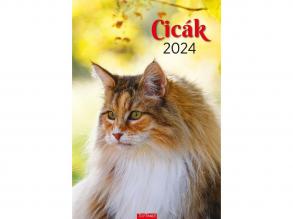 Kalendart 2024-es T094 cicák falinaptár