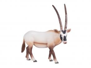 Mojo Wildlife Oryx - 387242