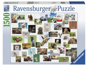 Puzzle 1500 db - Vicces állatok