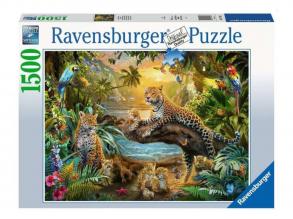 Puzzle 1500 db - Leopárdok a dzsungelban