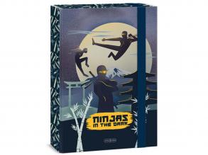 Ars Una Ninjas in the dark gumis füzetbox A/4